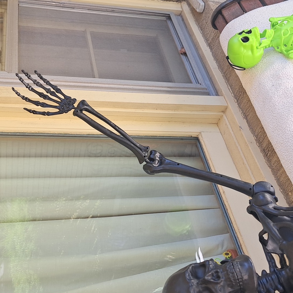 👻 4 Skeletos New But On Display - Picture 4 of 8